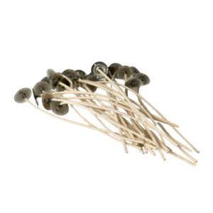 HTP Eco Wicks 45Ply 15cm Length For Candle-Making